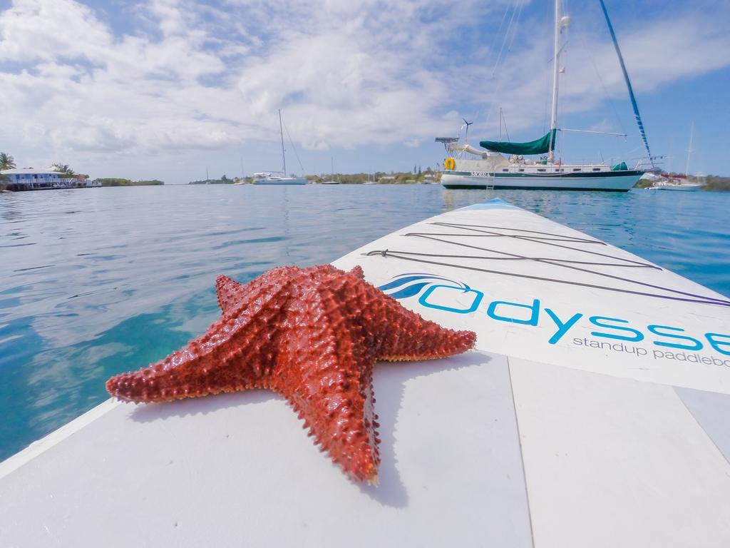 Green Turtle Club Resort & Marina Green Turtle Cay Exterior photo