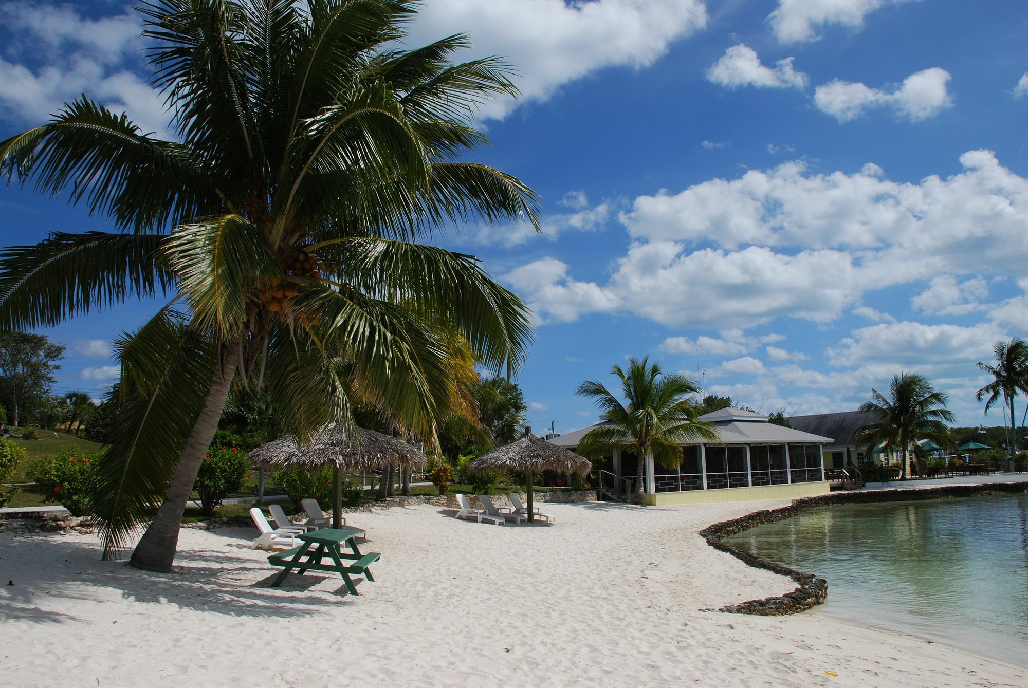 Green Turtle Club Resort & Marina Green Turtle Cay Exterior photo